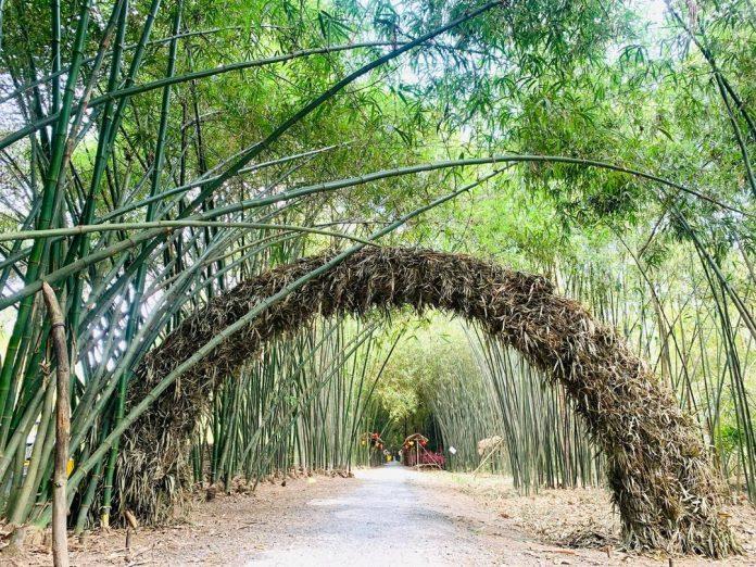 Bamboo Garden Hậu Giang (Ảnh: Bamboo Garden)