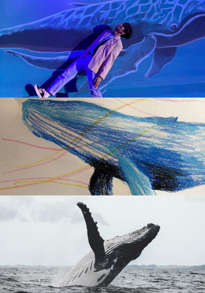 Ảnh: Internet Ảnh: Internet