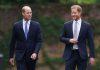 William hay Harry? Ai là thành viên quyến rũ nhất của Hoàng gia Anh?