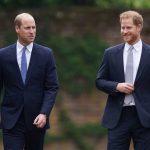 William hay Harry? Ai là thành viên quyến rũ nhất của Hoàng gia Anh?