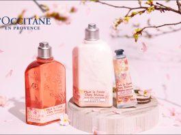 Review sữa dưỡng thể L’Occitane Cherry Blossom Shimmering Lotion: Dưỡng da ẩm mịn, thơm hương anh đào Sữa dưỡng thể L Occitane