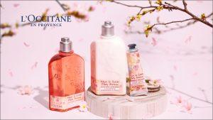 Review sữa dưỡng thể L'Occitane Cherry Blossom Shimmering Lotion: Dưỡng da ẩm mịn, thơm hương anh đào