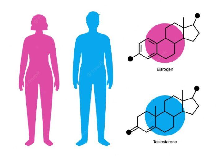 Cả nam và nữ đều bị ảnh hưởng do sự thay đổi hormone khi có tuổi (Ảnh: Internet)