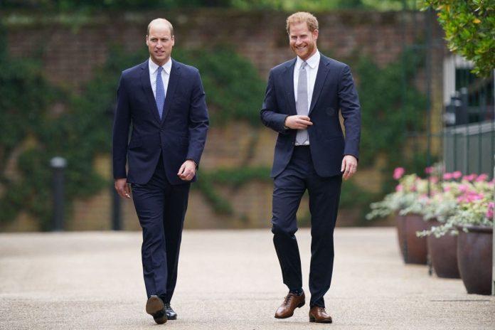 Lựa chọn của bạn là ai - Hoàng tử William (trái) hay Hoàng tử Harry?