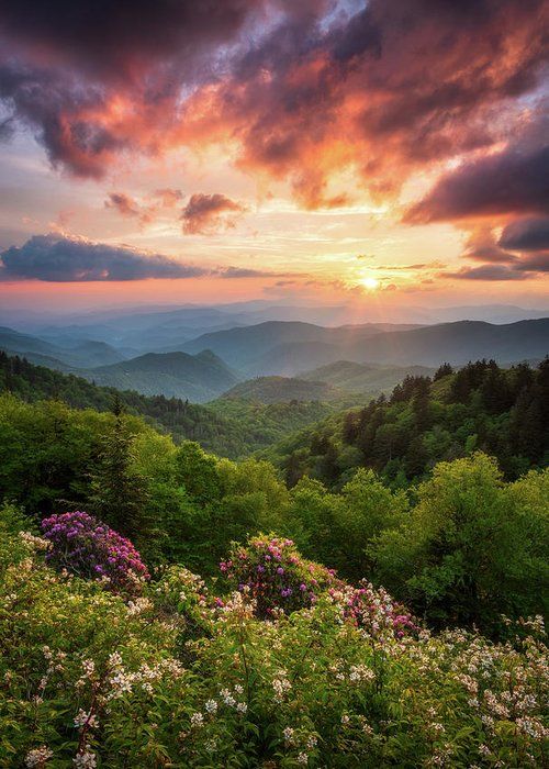 Khung cảnh công viên quốc gia Great Smoky Mountains đón ánh mặt trời. (Nguồn ảnh: Internet)