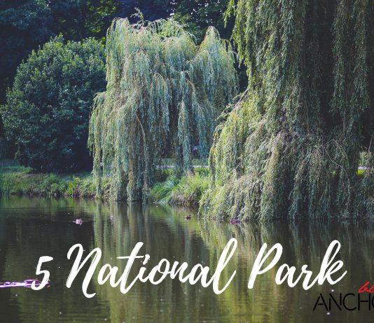 5 công viên quốc gia tại Mỹ miễn phí vé vào cửa cho những bạn đam mê khám phá thiên nhiên