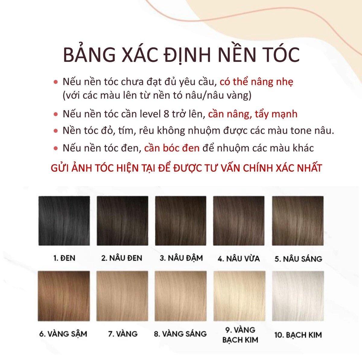 Xác định nền tóc chuẩn để lên màu(Nguồn: Internet)