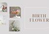 Hoa thân sinh – Birth Flower là gì? Tìm hiểu ý nghĩa loài hoa đại diện của bạn