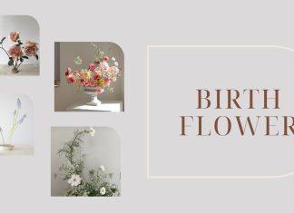 Hoa thân sinh – Birth Flower là gì? Tìm hiểu ý nghĩa loài hoa đại diện của bạn