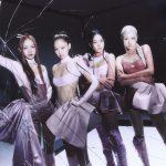 Cơn địa chấn Pink Venom: Bùng nổ MXH, lập những kỷ lục “vô tiền khoáng hậu”