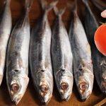 Cá nục sốt cà chua.