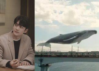 Junho có thể thay thế cá voi để trở thành mối bận tâm duy nhất của luật sư Woo? (Nguồn: Internet)