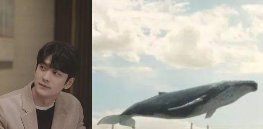 Junho có thể thay thế cá voi để trở thành mối bận tâm duy nhất của luật sư Woo? (Nguồn: Internet)