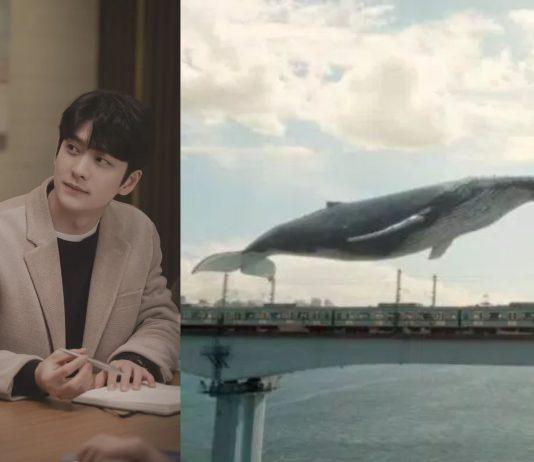 Junho có thể thay thế cá voi để trở thành mối bận tâm duy nhất của luật sư Woo? (Nguồn: Internet)