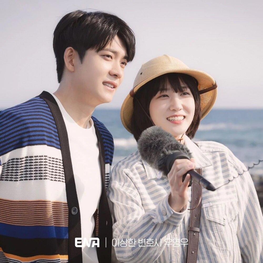 Cặp đôi đánh cắp trái tim của fan Lee Jun Ho và Woo Young Woo do Park Eun Bin thủ vai (Ảnh: Internet)