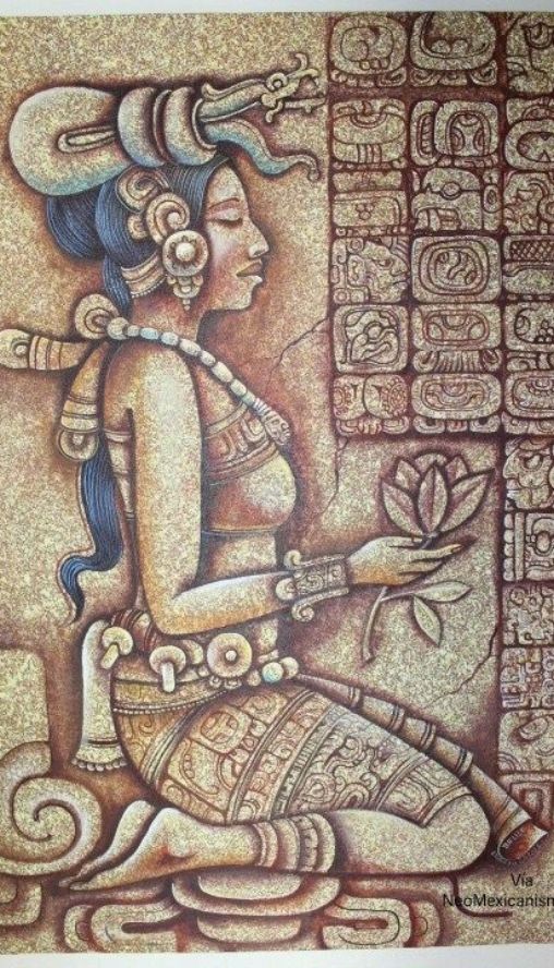 Người Maya có thể tạo ra thuốc giảm đau từ một số loài thực vật (Nguồn: Internet)