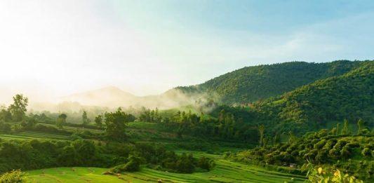 Tính chất nhiệt đới ẩm gió mùa của Việt Nam (Nguồn: Internet)