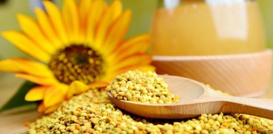 Phấn hoa ong: Thực phẩm bổ dưỡng từ thiên nhiên, lợi ích tuyệt vời cho sức khỏe