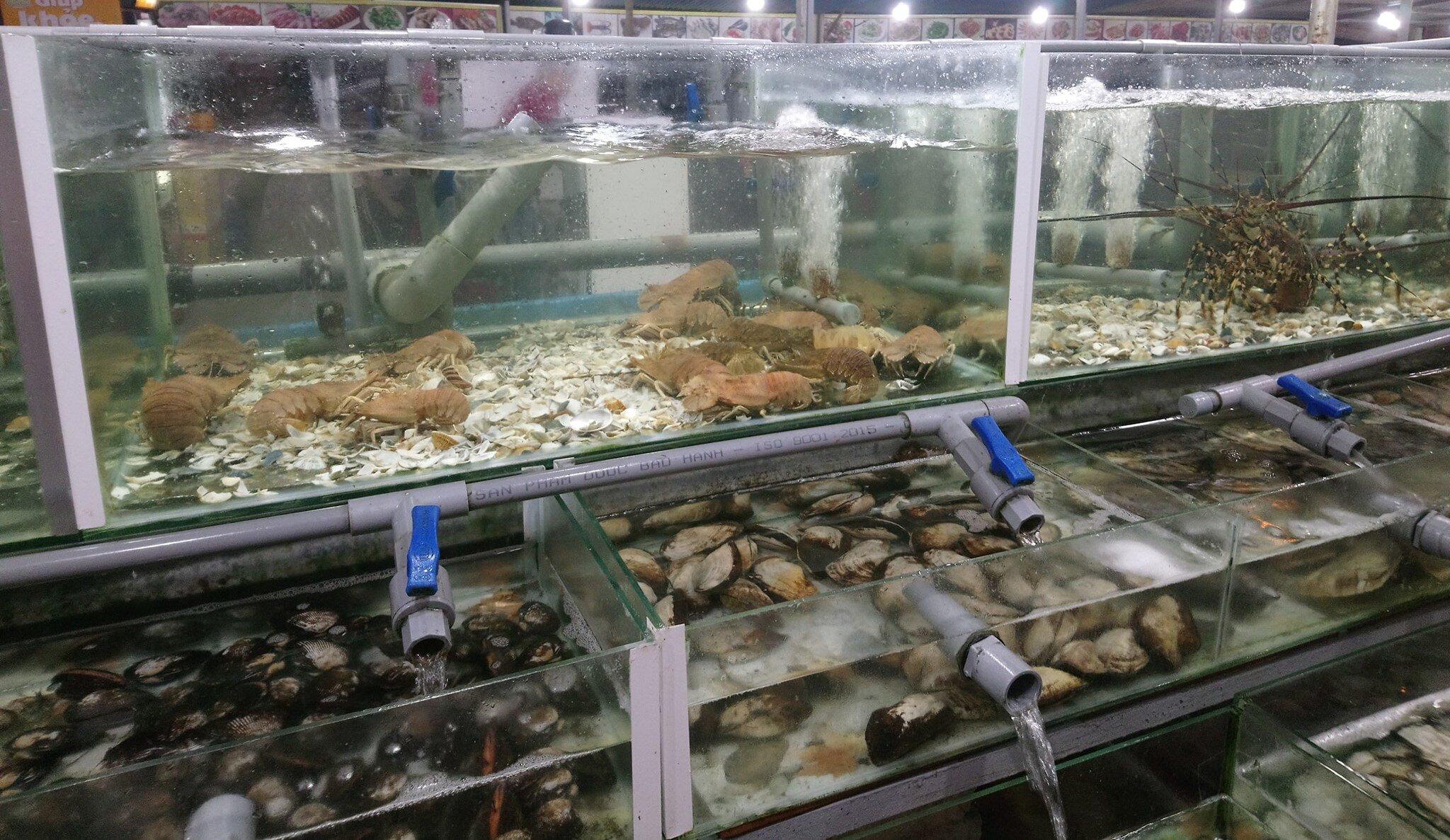 Rất nhiều loại hải sản tha hồ lựa chọn. (Ảnh: Internet)