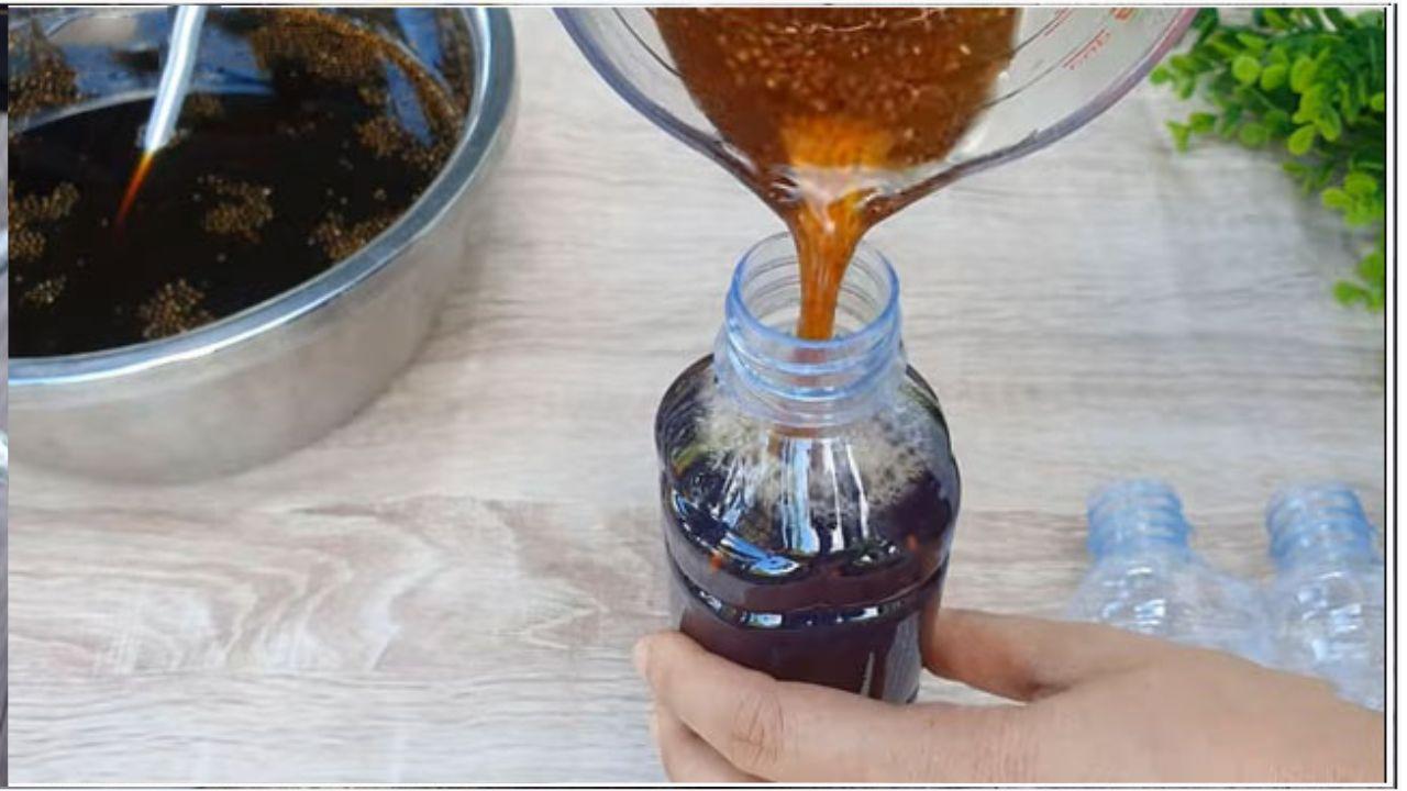 Đổ trà vào chai giữ trong tủ lạnh để bảo quản được lâu hơn (Nguồn Youtobe: Bếp nhà Sin)