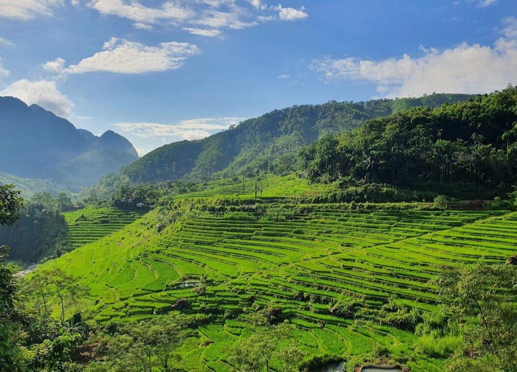 Vẻ đẹp xanh mát của núi rừng Pù Luông. (Ảnh: Internet)