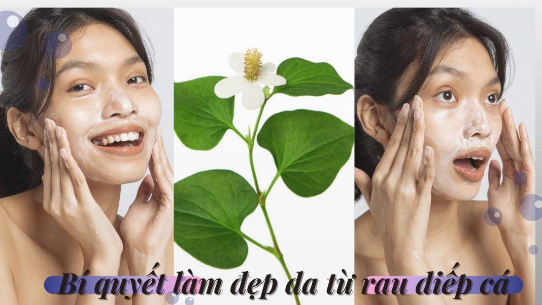 Làm đẹp da từ rau diếp cá (nguồn: BlogAnChoi)