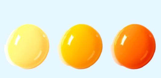 12 sự thật ít người biết về những điều chúng ta gặp hàng ngày 10 vạn câu hỏi vì sao (Ảnh: Internet)