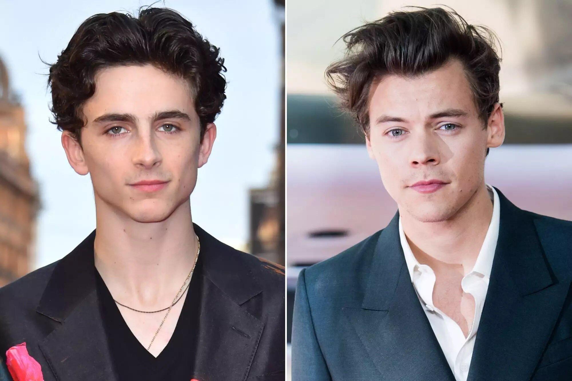 Timothée Chalamet hay Harry Style là các softboy tích cực. (Ảnh: Internet)