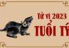 Tổng quan tử vi tuổi Tý 2023: Phạm Thái Tuế, được sao Thiên Đức, Văn Xương phù hộ