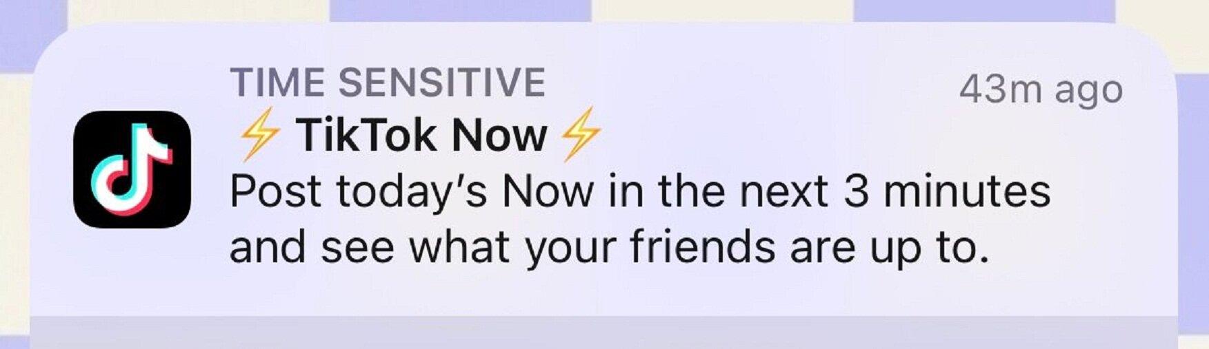TikTok Now hiện thông báo nhắc bạn đăng nội dung mỗi ngày (Ảnh: Internet)