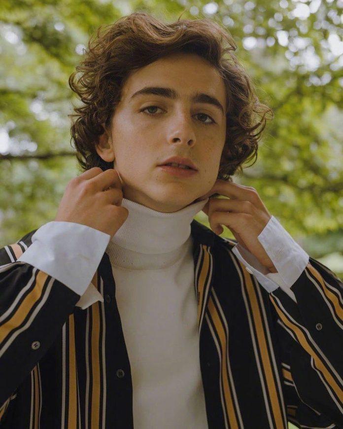 Timothée Chalamet (Ảnh: internet)