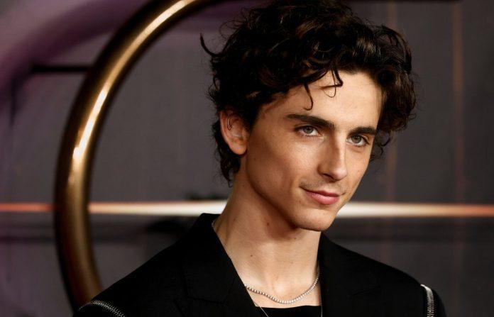 Timothée Chalamet (Ảnh: internet)