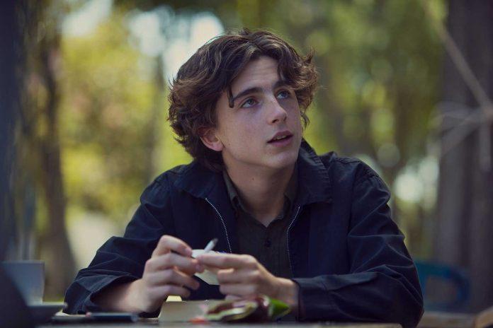 Timothée Chalamet (Ảnh: internet)