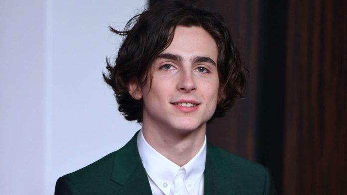 Timothée Chalamet (Ảnh: internet)