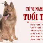 Dự đoán tử vi tuổi Tuất năm 2023 theo tuổi: Năm tam hợp, tiền tình tài đều may mắn