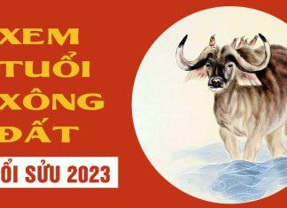 Xem tuổi xông nhà 2023 cho tuổi Sửu: Chọn Tỵ, Dậu mang nhiều may mắn