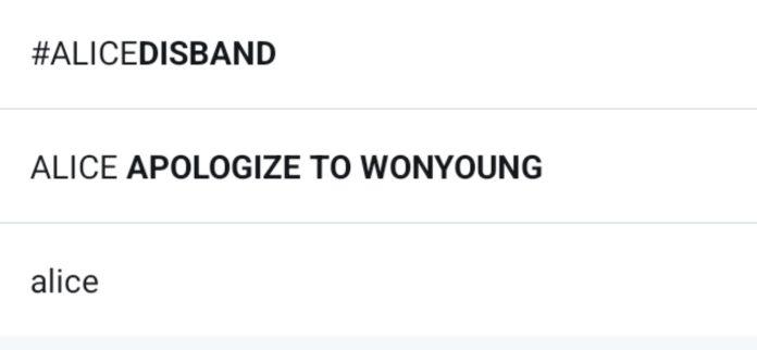 Fans Jang Wonyoung yêu cầu ALICE xin lỗi. (Ảnh: Internet)