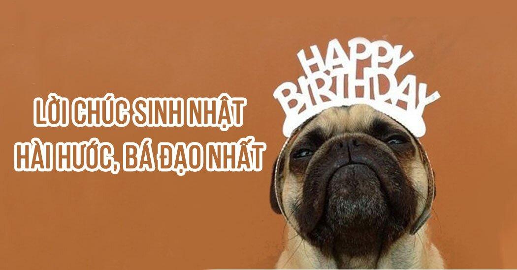 200+ lời chúc sinh nhật hài hước bá đạo khiến người nhận cười hở 10 cái răng - BlogAnChoi