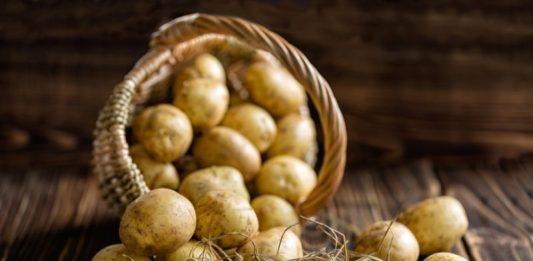 5 loại rau củ giàu chất sắt hơn cả thịt bò nên bổ sung cho bữa ăn hằng ngày 5 rau củ giàu chất sắt hơn thịt bò