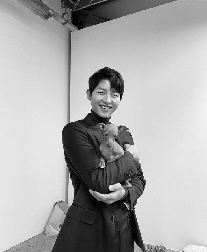 Song Joong Ki đã nhận nuôi chú chó nhỏ này từ cuối năm 2021. (Ảnh: Instagram)