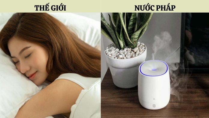 Sử dụng tinh dầu thơm giúp dễ ngủ hơn (Nguồn: Internet)