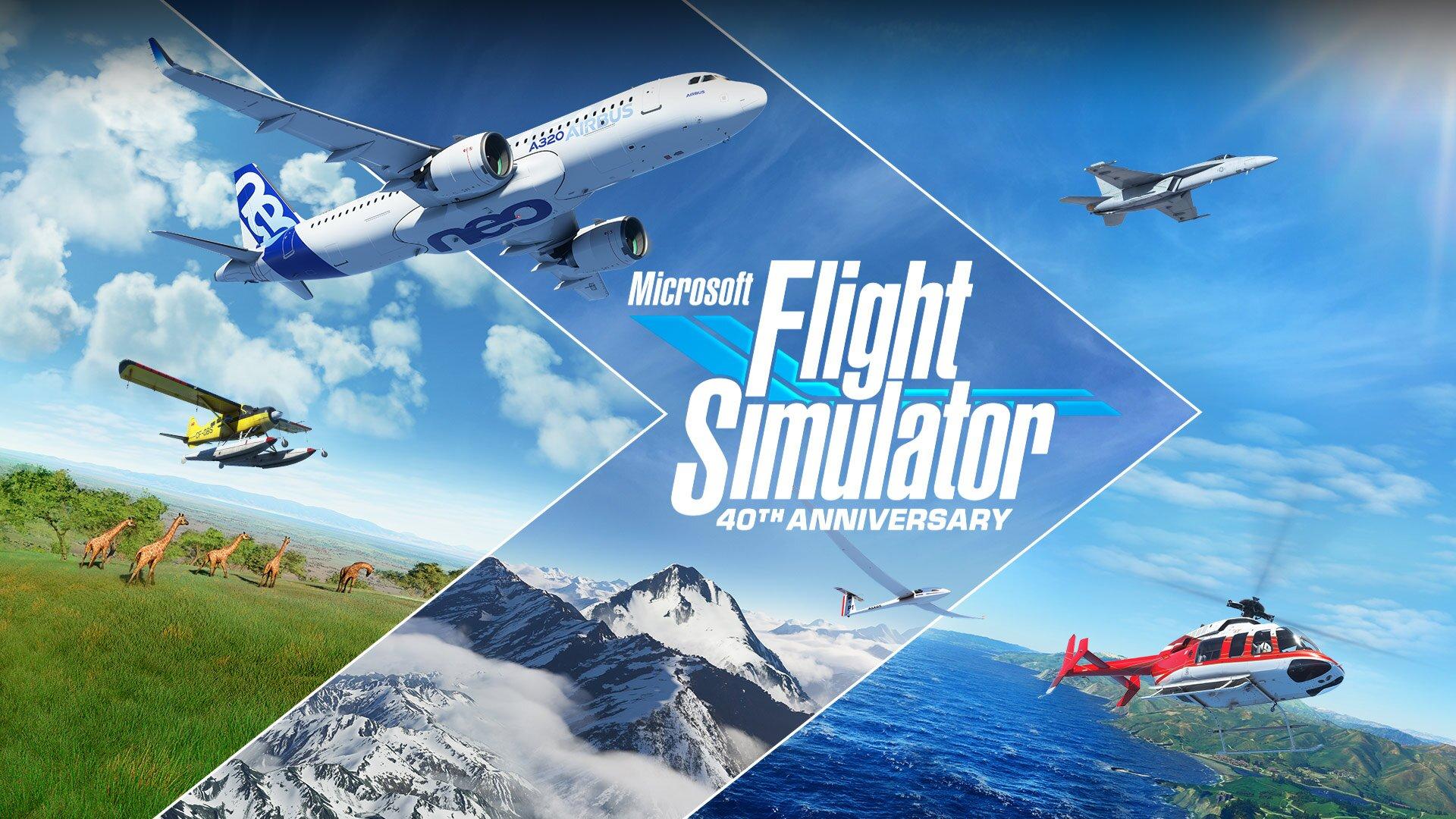Flight Simulator (Ảnh: Internet)
