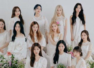 9 thành viên LOONA đình chỉ hợp đồng với công ty: 4 thắng, 5 thua