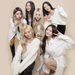 Toàn bộ thành viên MOMOLAND không tái ký hợp đồng (Ảnh: Internet)