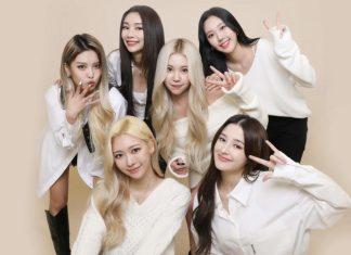 Toàn bộ thành viên MOMOLAND không tái ký hợp đồng (Ảnh: Internet)