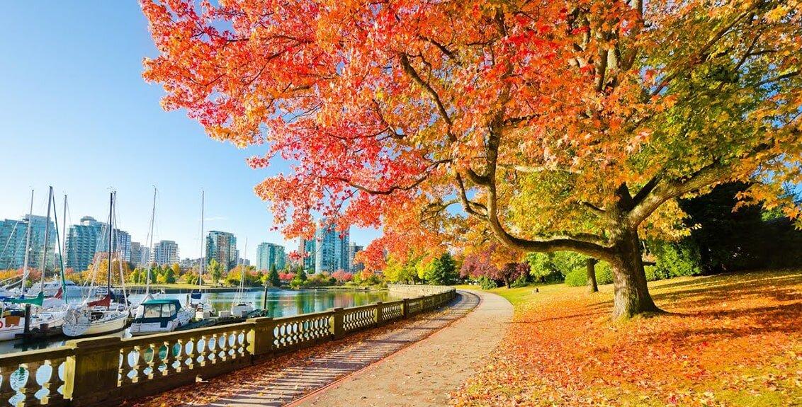 Công viên Stanley của Vancouver (Ảnh: Internet)