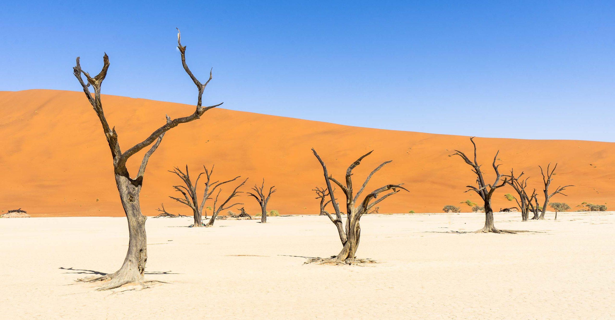 Deadvlei, Namibia - Nguồn: Internet