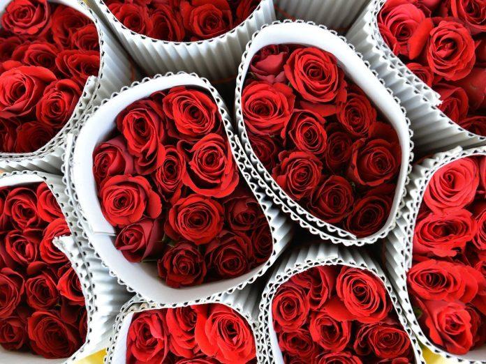 Hoa hồng cho ngày Valentine (Ảnh: Internet)