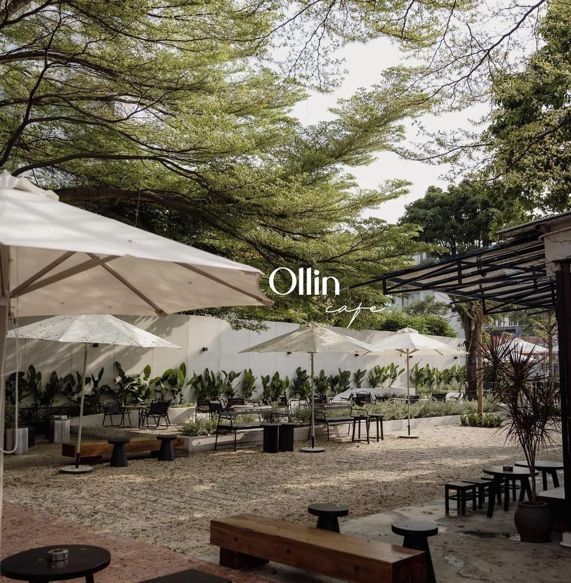 Ollin Café. (Nguồn ảnh: Facebook Ollin Café)