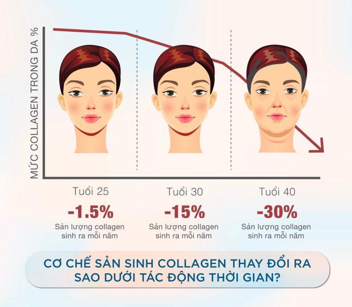 Collagen tự nhiên từ thực phẩm có lợi ích gì? (Nguồn: Internet)